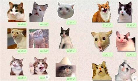 Día del Gato cómo descargar los mejores stickers para enviar a tus