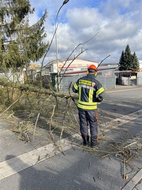 Hilfeleistung Baum Auf Stra E Feuerwehr Der Stadt B Dingen