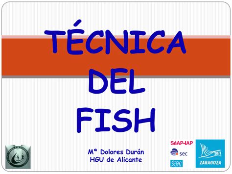 La técnica de FISH