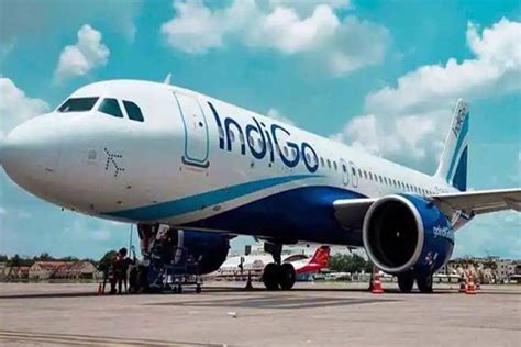 Indian Indigo Airline Looks To Launch Flights To Uzbekistan Turkic World