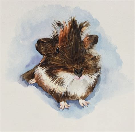 Custom Pet Portrait Guinea Pig Portrait Bunny Portraithare Etsy