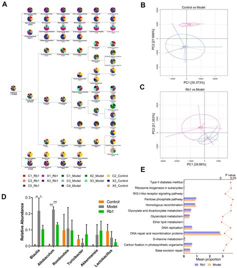 Comprehensive Multiomics Analysis Of The Effect Of Ginsenoside Rb1 On