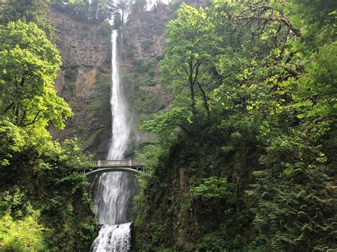 Columbia Gorge Waterfalls With Kids Shop | emergencydentistry.com