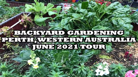 Backyard Garden Tour Jun 2021 Youtube