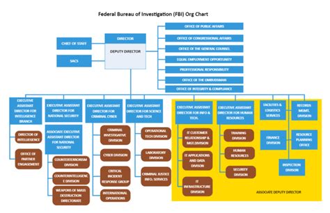 What Is The Role Of The FBI? | FBI John