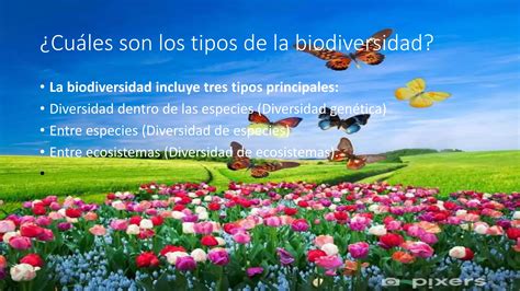 Cartilla De La Biodiversidad Pptx