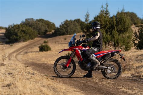 2021 Honda Crf300l And Crf300 Rally Announced Motorcycle Mojo