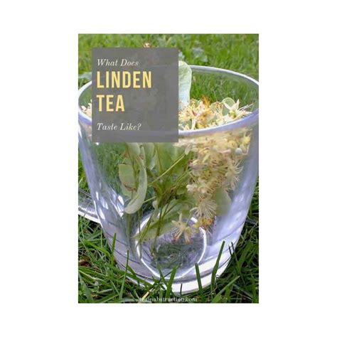 What Does Linden Flower Tea Taste Like? A Hidden Floral Gem? | Tea In Abstraction