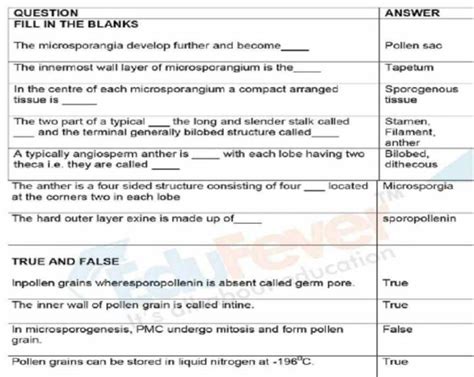 Sexual Reproduction In Flowering Plants Revision Notes For Neet Exam