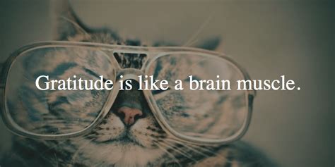 How Practicing Gratitude Can Change Your Brain And Life