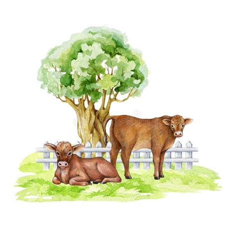 Cows On The Green Grass Under The Tree Countryside Landscape Scene