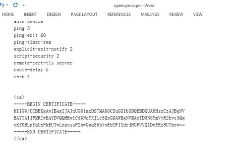 Manually Create The Unified Format For Openvpn Profile Cyberghost