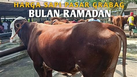 Contoh Harga Sapi Bulan Ramadan Mei Di Pasar Grabag Magelang Youtube