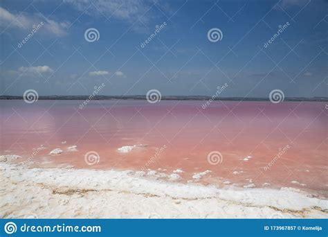 Pink Salt Lake In Torrevieja Spain Stock Image Image Of Alicante