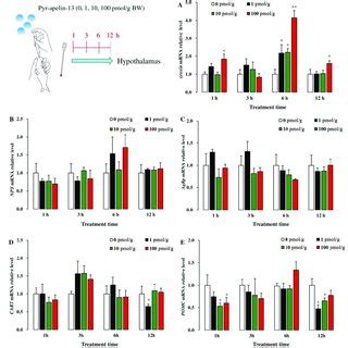 Gene expressions of appetite-related factors in the hypothalamus of... | Download Scientific Diagram