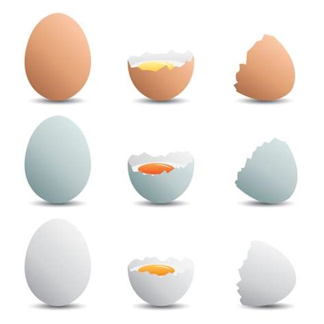 Broken Egg Vector Pack 166329 Vector Art at Vecteezy