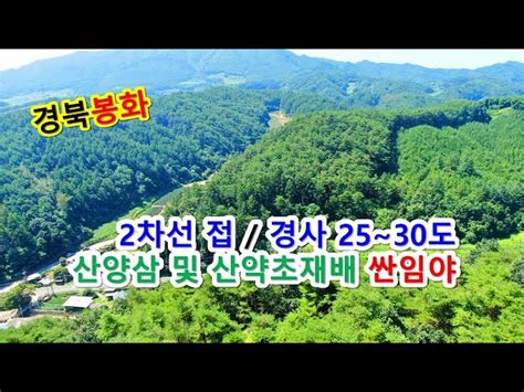 산림청 임야 매매 지속가능한 투자의 비밀revealed