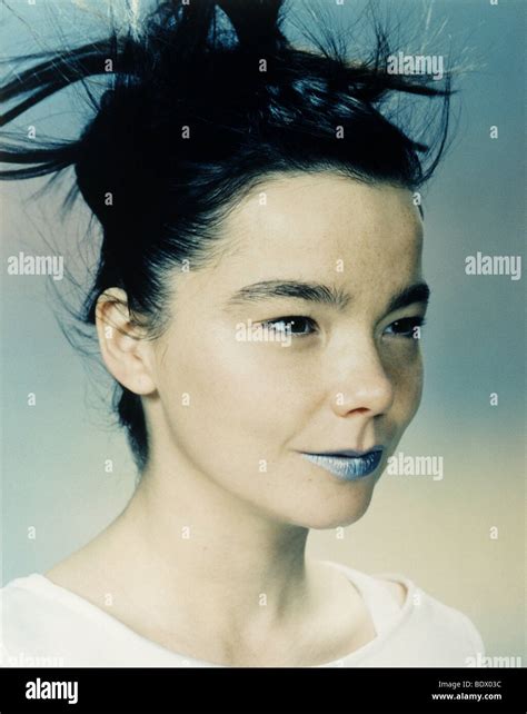 Bjork Singer High Resolution Stock Photography and Images - Alamy