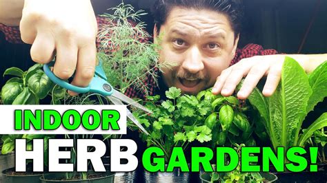 Indoor Herb Gardens The Definitive Guide For Beginners