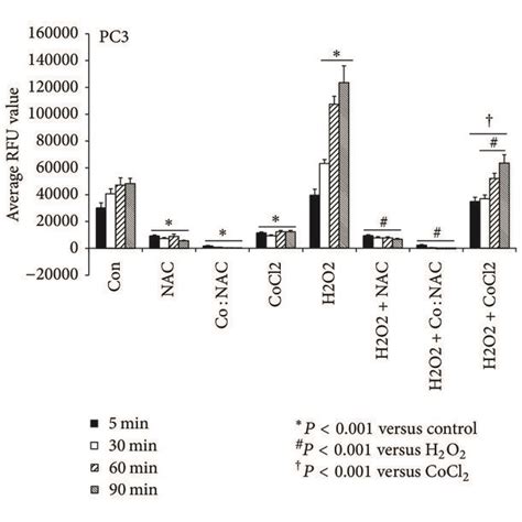 Changes In Intracellular Reactive Oxygen Species Ros Levels Over Time