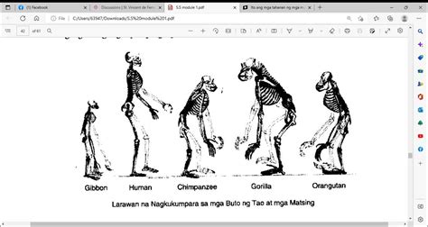 TIGNAN ANG LARAWAN SA ITAAS AT SABIHIN KUNG ANO ANG MGA PANGALAN