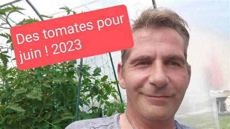 De Bonnes Tomates Pour Juin Youtube