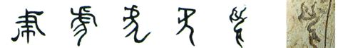 虎字从甲骨文到小篆的演变过程中你能发现什么 虎从甲骨文到宋体演变过程中有什么规律