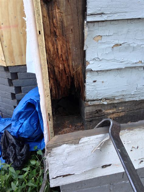 Major Termite Damage | Victorian Home Renovation