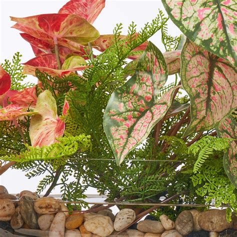 Jungle Vines Spotted Pink Caladium And Tropical Pothos Vines With Fern Darby Creek Trading