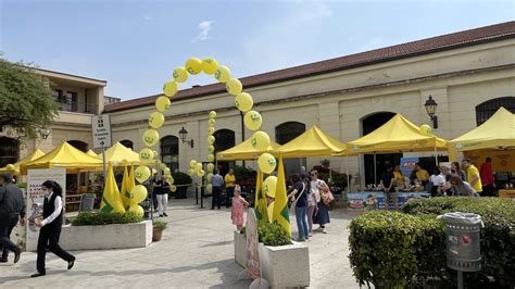 Primo Anno Mercato Coperto Campagna Amica Coldiretti Verona