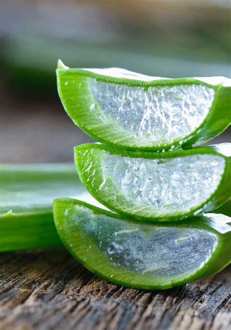 Cómo hacer gel de aloe vera puro casero PequeRecetas