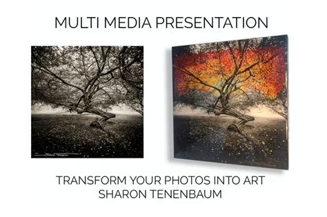 Sharon Tenenbaum to Present on Feb 26 - Langley Camera Club