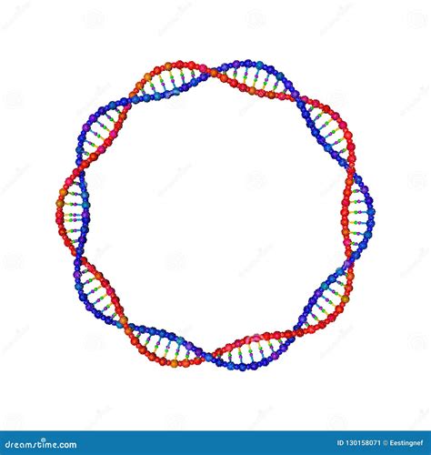 Filamento De La Dna En La Forma De C Rculo Ilustraci N Del Vector