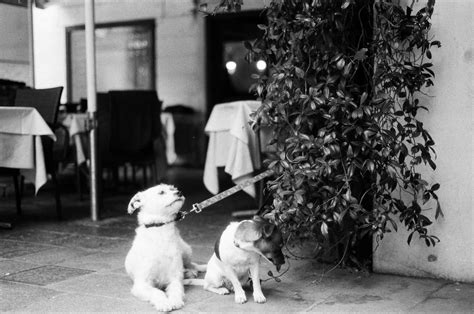 Waiting Patiently Christopher Vonder Haar Flickr