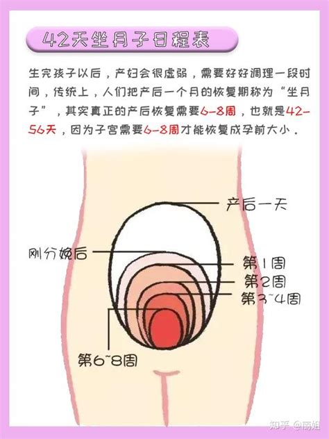 超详细的产后42天坐月子日程表（顺产） 知乎