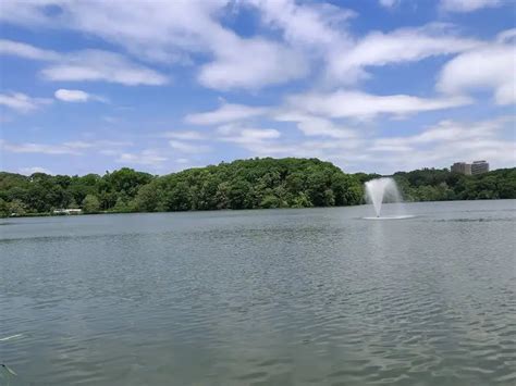 Weequahic Park Exploding Travel