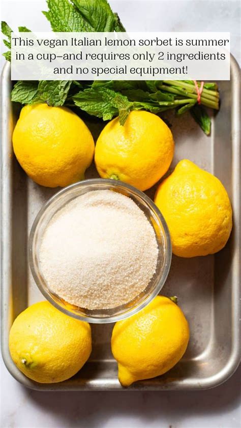 2-Ingredient Lemon Sorbet (Sorbetto al Limone) - The Mediterranean Dish