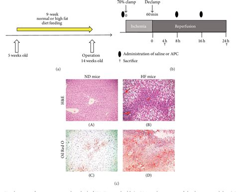 Figure 1 From Comparative Study On The Cytoprotective Effects Of