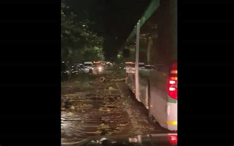 Maltempo Su Milano Tetti Scoperchiati E Alberi Caduti