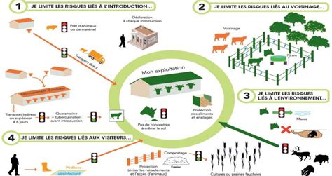 La Bios Curit En Levage