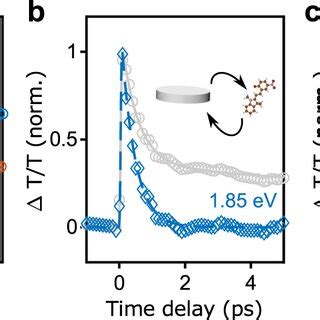 Ultrafast Dynamics Of The Hybrid System In The Strong And Weak Coupling