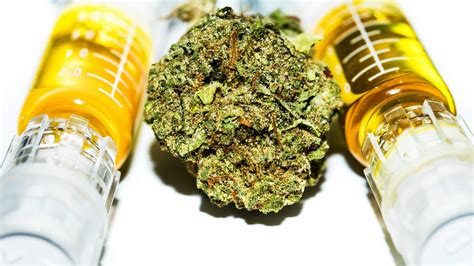 The Complete Beginner’s Guide to Cannabis Oil - Honey Brands