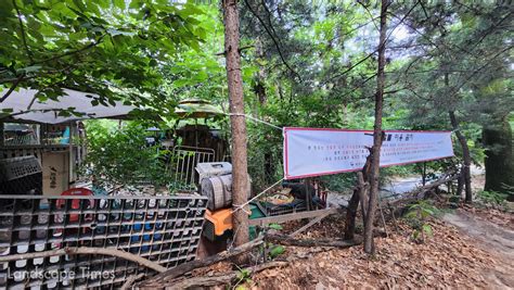 산림청 국립공원 내 무단점유 국유지 일제 조사