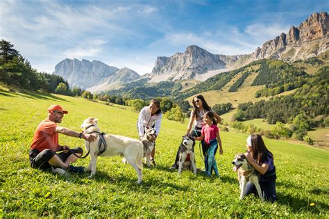 Hébergement touristique Auvergne Rhône Alpes Tourisme Site pro