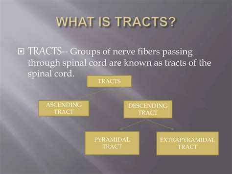 Pyramidal And Extrapyramidal Tracts Of Spinal Cord By Sk PPT