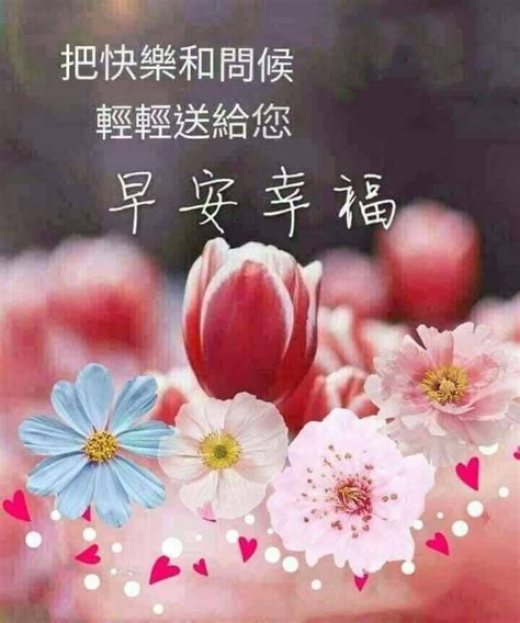 Pin by Cube Quotes Studio on 早安語錄 Good morning flowers Morning