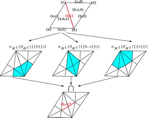 How To Compute Dual Cells On The Top We Show A Simplicial Complex K