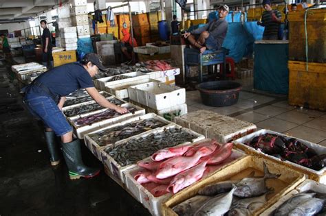 Tingkat Konsumsi Ikan Di Bali Masih Rendah