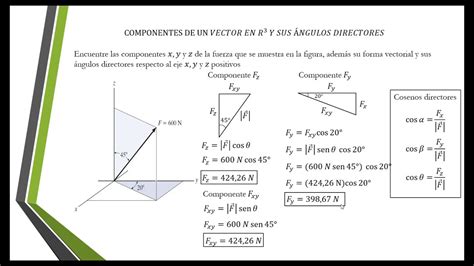 Cómo calcular las componentes de un vector y sus ángulos directores en