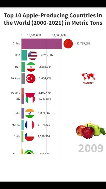 Top 10 Apple Producing Countries In The World Youtube